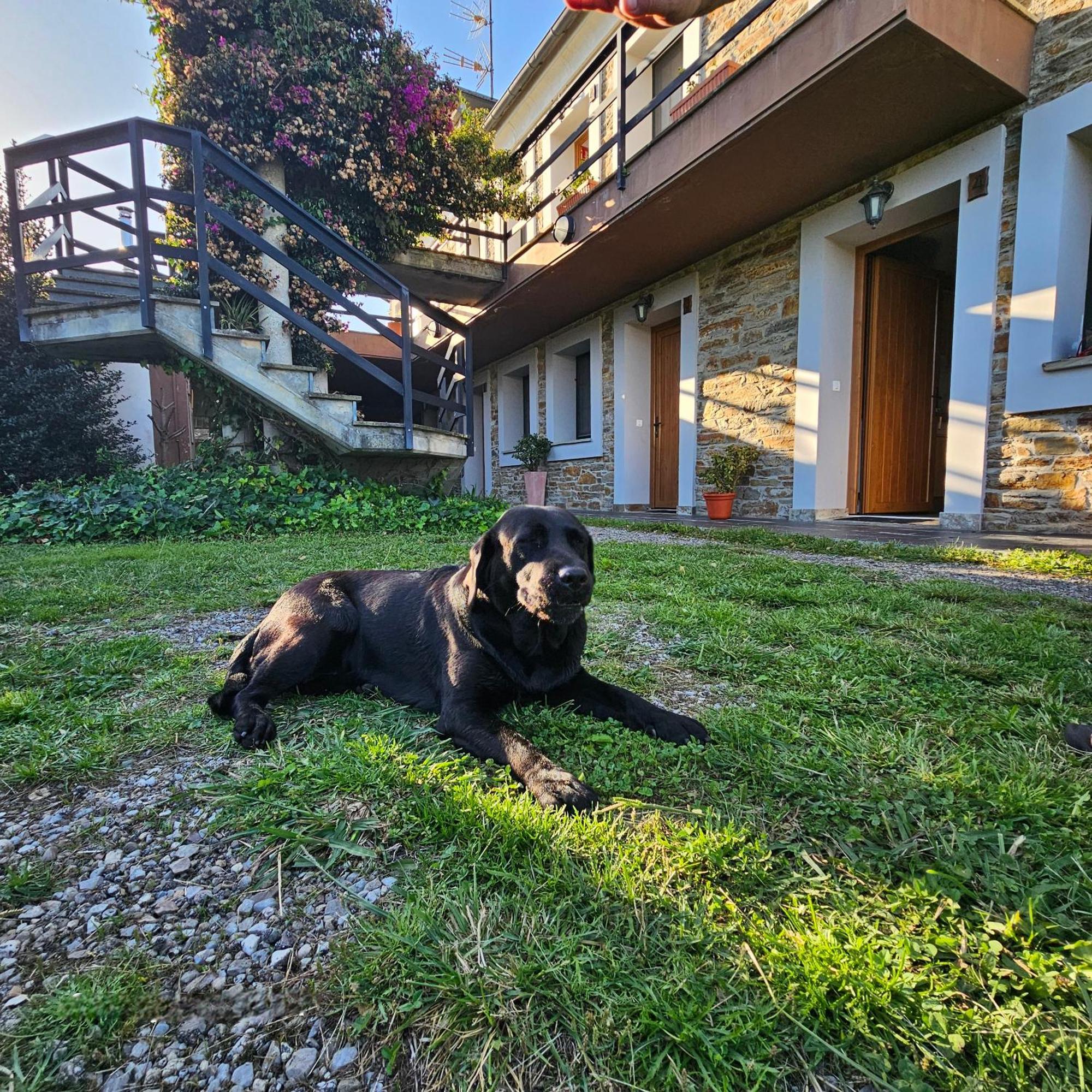 Apartamentos Castello Cartavio エクステリア 写真