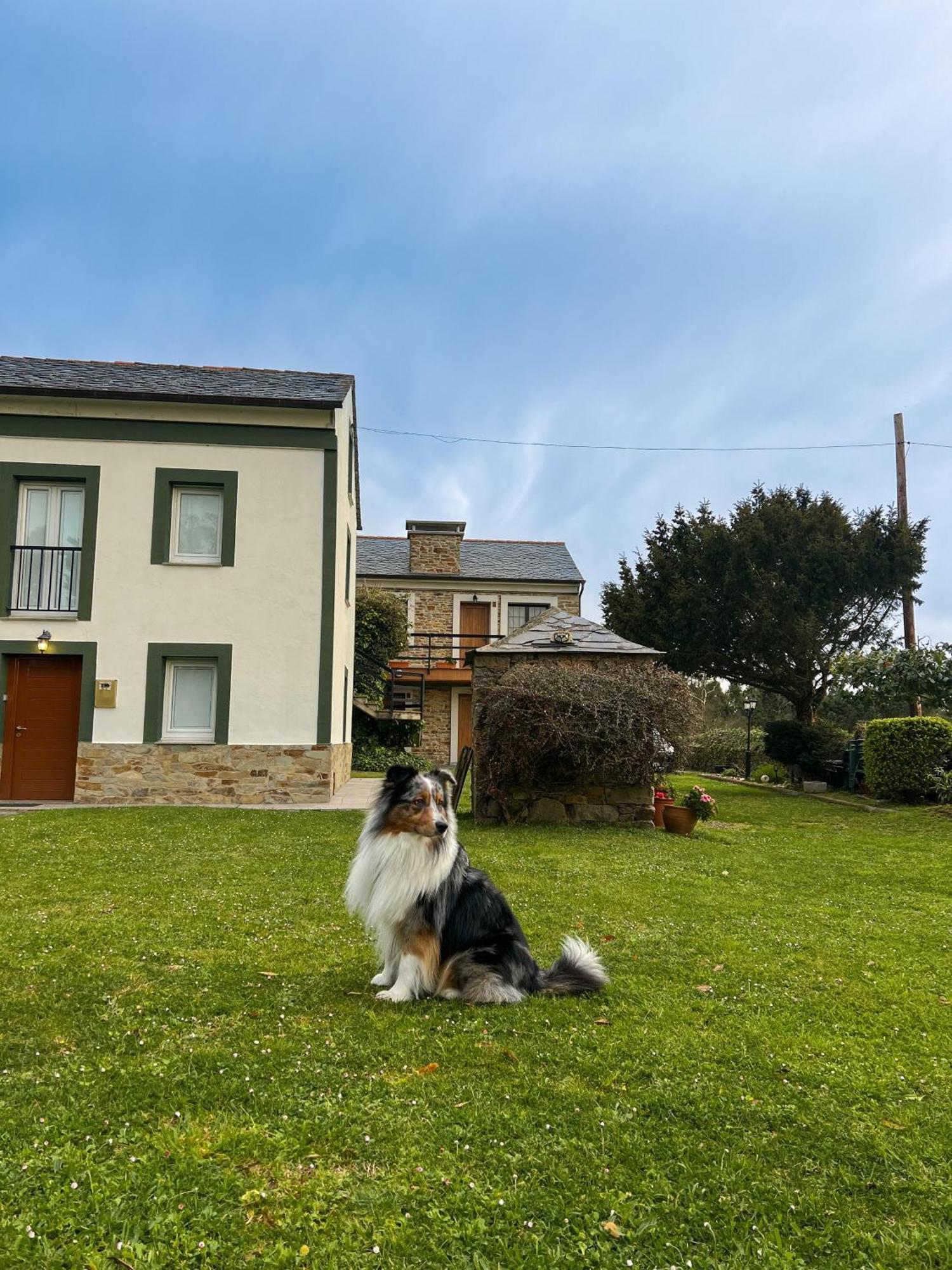 Apartamentos Castello Cartavio エクステリア 写真
