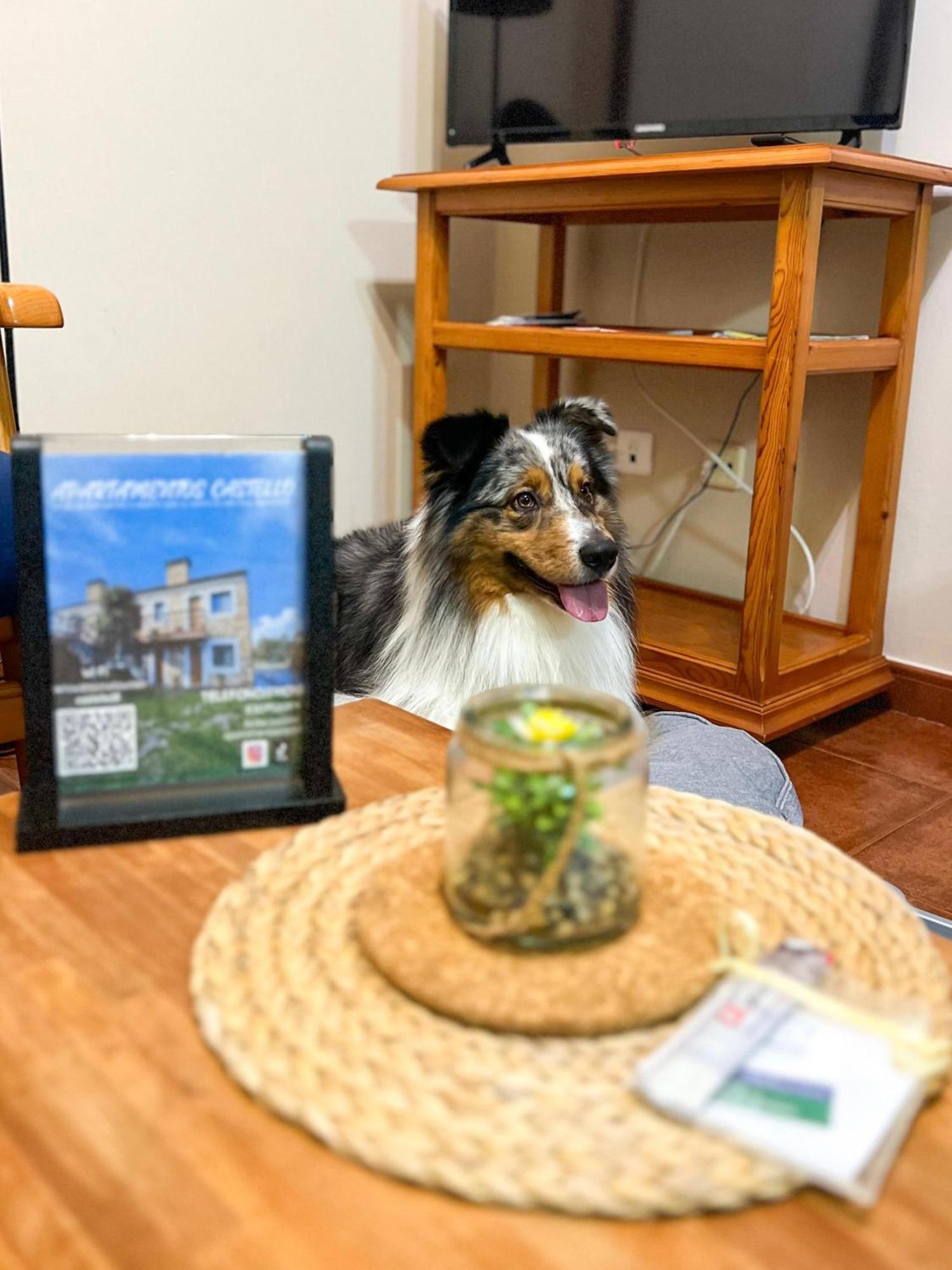Apartamentos Castello Cartavio エクステリア 写真